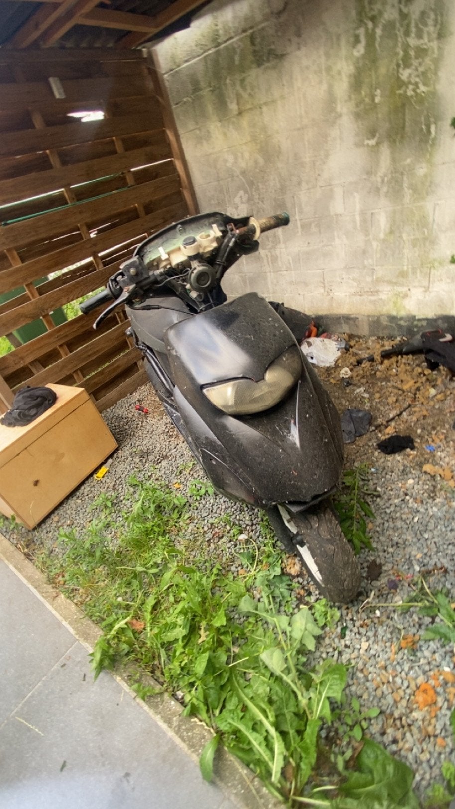 Honda sfx 70cc, Ophalen, Gebruikt, 70 cc, Klasse A (25 km/u)