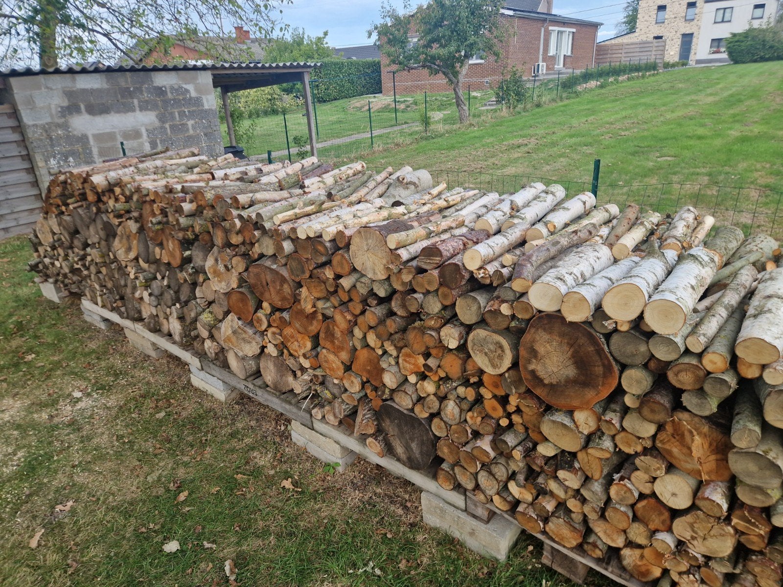 Bois de Chauffage, 6 m³ ou plus, Enlèvement, Hêtre, Bûches