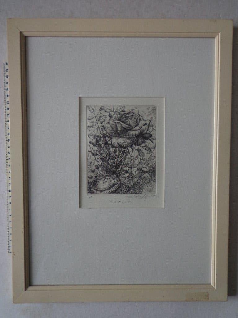 verfijnde ets van Hugo Besard "Roos en Acacia" 1985, Eau-forte, Enlèvement ou Envoi, 1950 - 1999, Faune et Flore