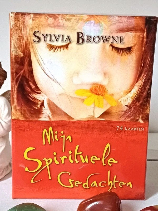 Mijn spirituele gedachten, Livres, Ésotérisme & Spiritualité, Neuf, Tarot ou Tirage de Cartes, Autres types, Sandra Brown