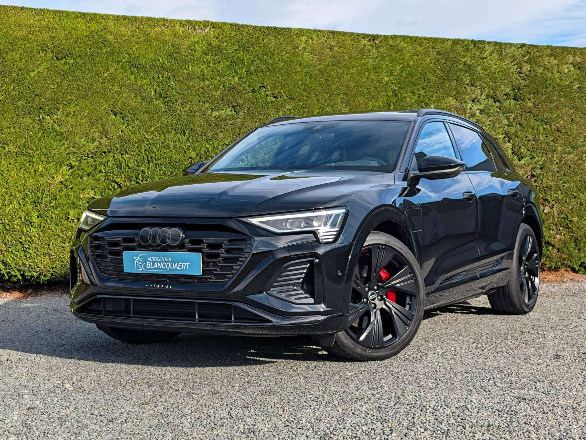 Audi Q8 e-tron Competition - 114 kWh - 2x S-line + black sty, Autos, Cuir, Achat, 408 ch, Entreprise