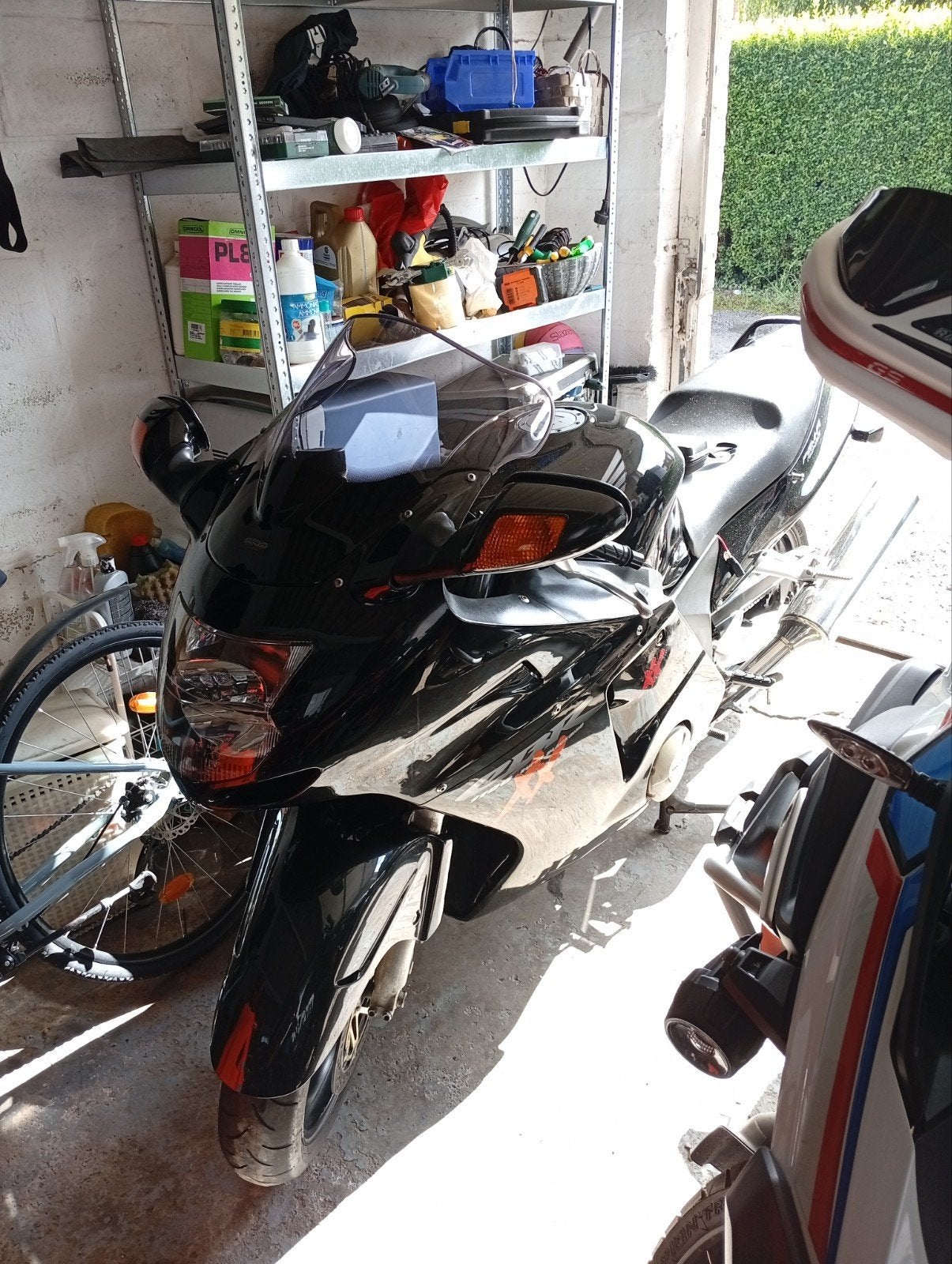 cbr1100xx Blackbird 48000km injection, Particulier