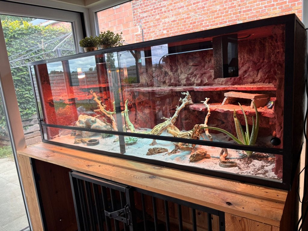 Woestijnterrarium 200cm, Enlèvement ou Envoi, Neuf, Terrarium ou Paludarium