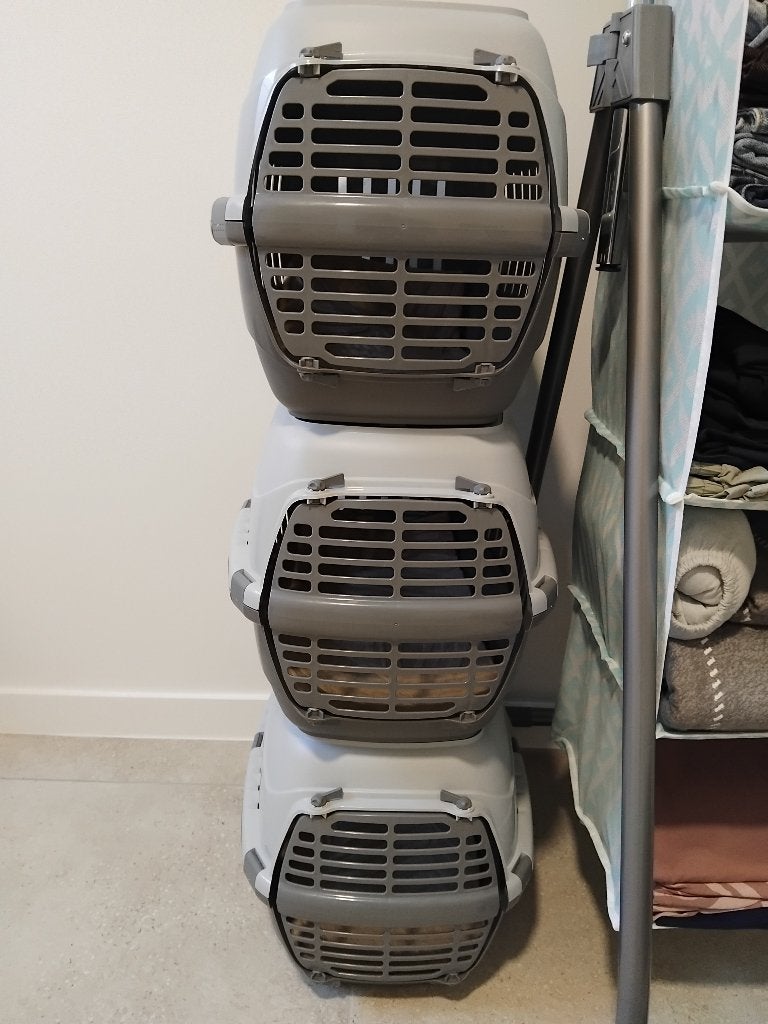 3 transportboxen kat, Enlèvement, Neuf