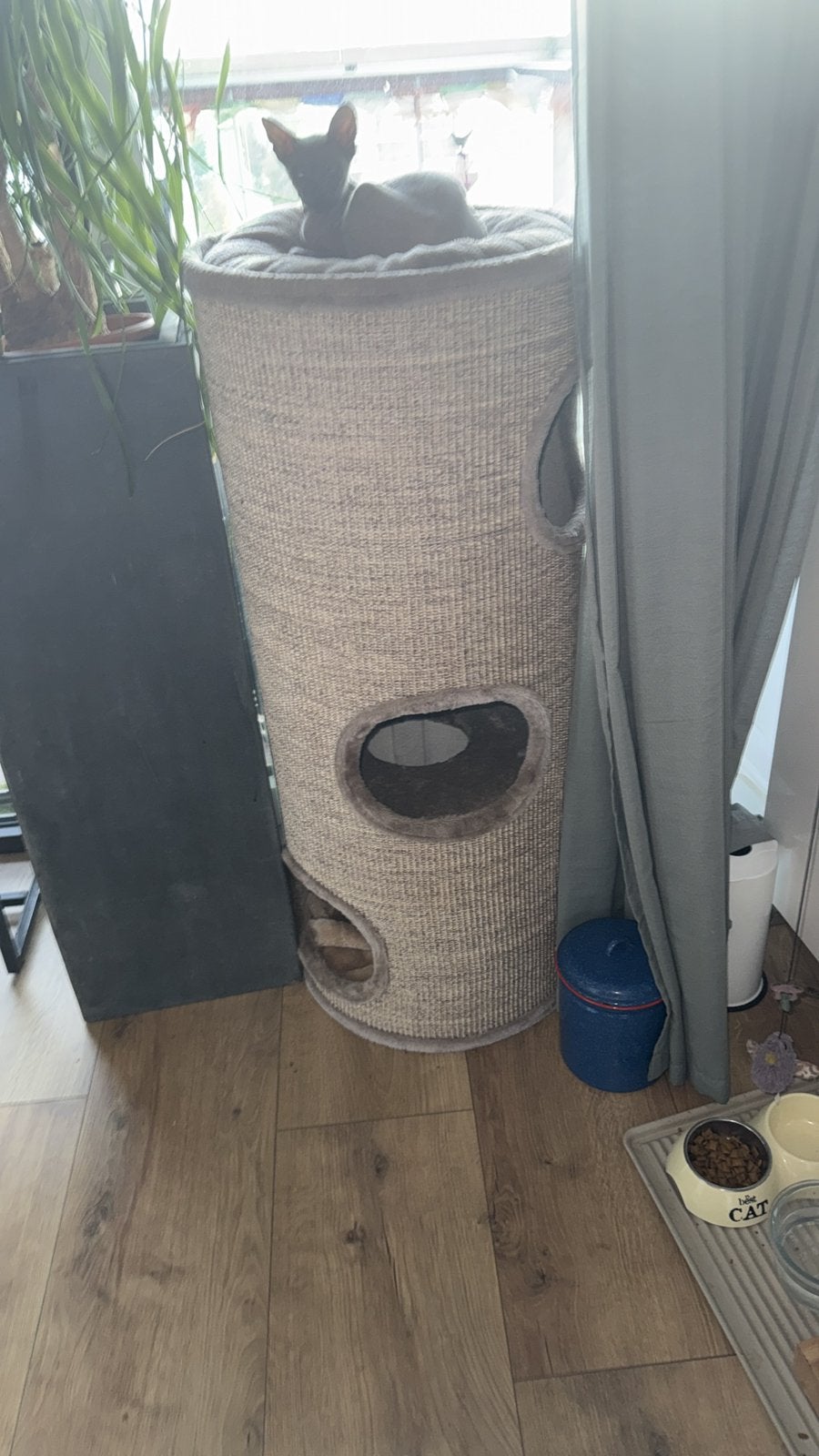 Krabpaal petrebels., Animaux & Accessoires, Meubles griffoirs pour chats, Enlèvement, Comme neuf, Griffoir