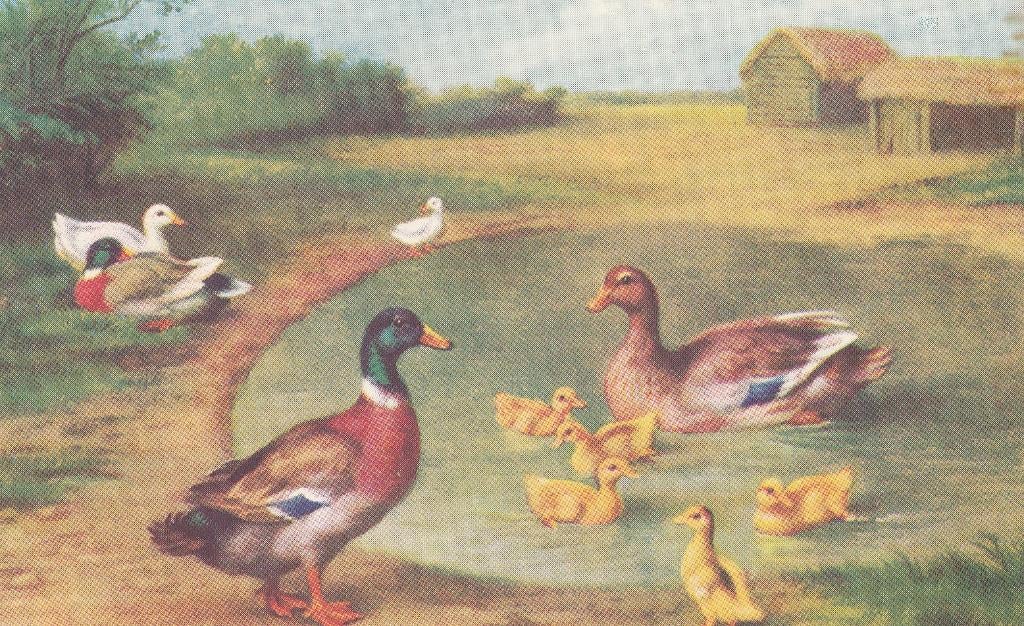 FANTASIE -  Eenden koppel met Kuikens, Verzenden, Ongelopen, Vogel