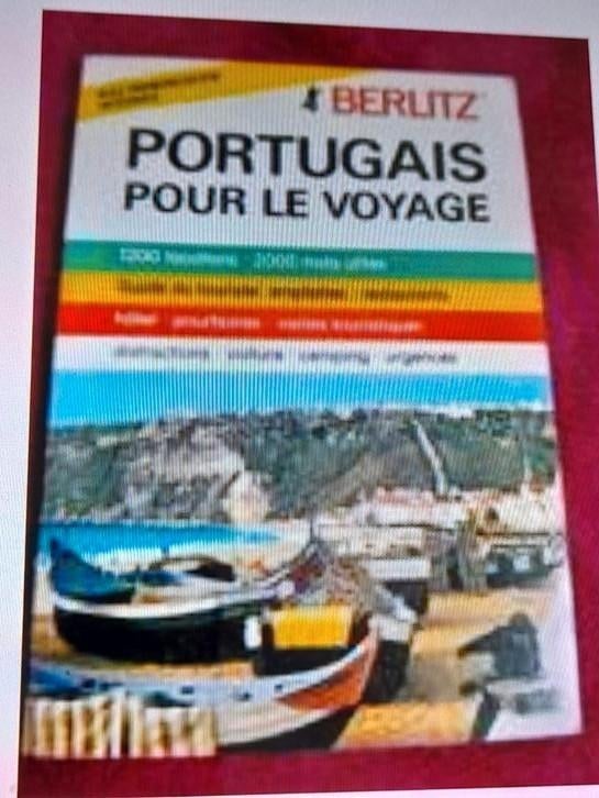 Guide : Portugais pour le voyage - Super pratique, Livres, Autres marques, Enlèvement ou Envoi, Comme neuf, Europe
