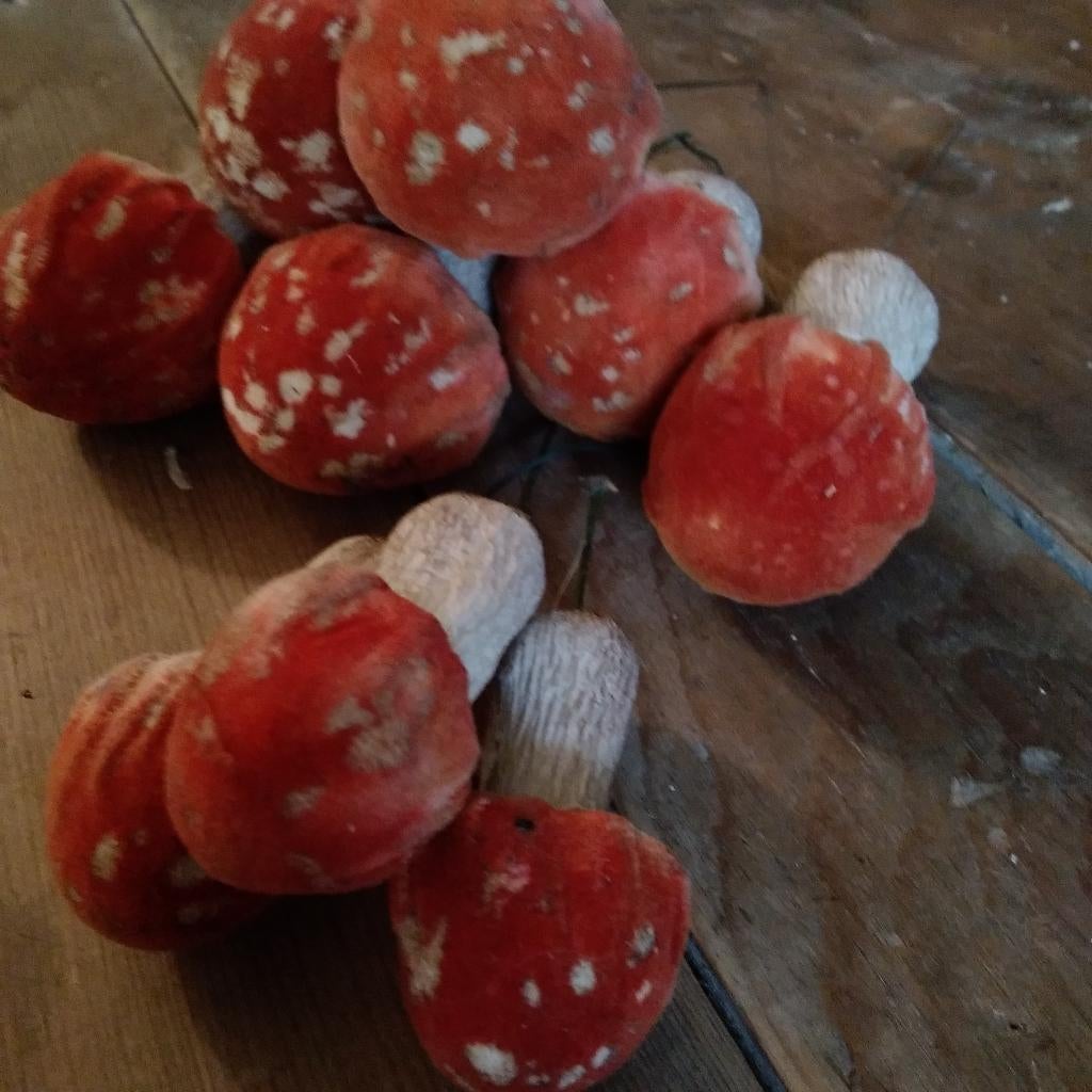 9 magnifiques champignons vintage en papier mâché, Envoi