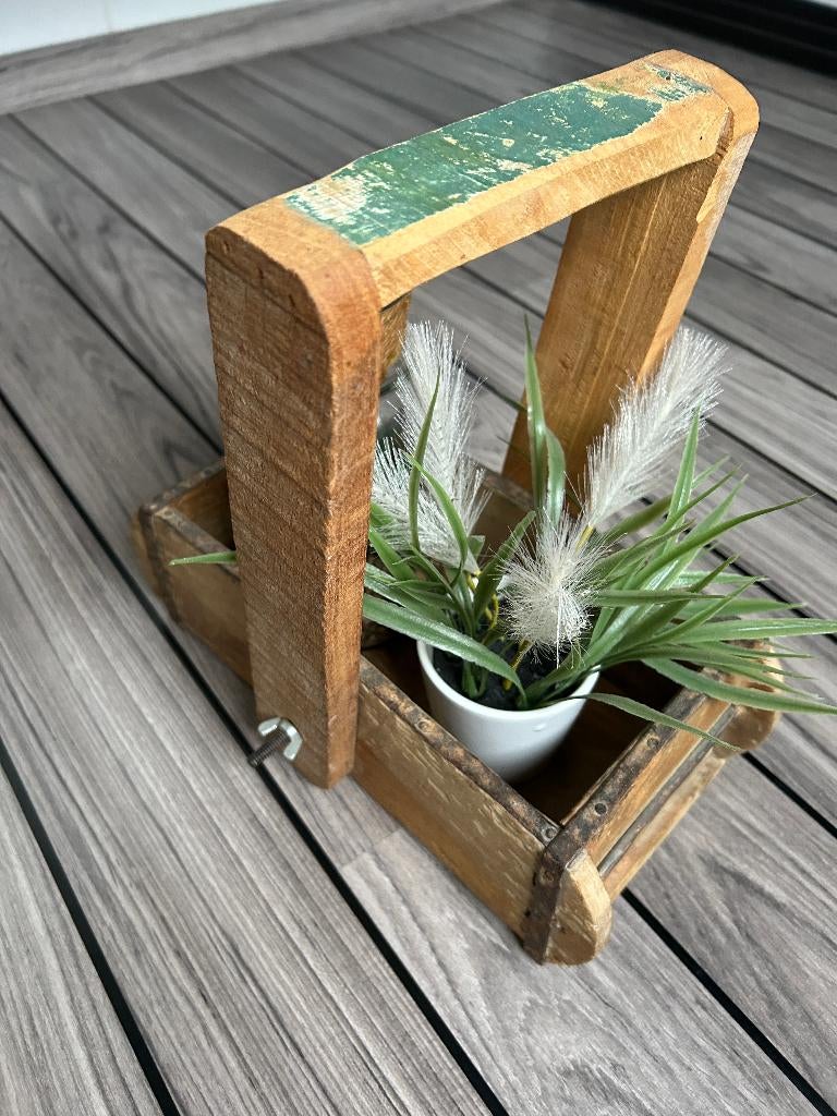 Antiek houten draagkrat met plantjes • uniek stuk, Minder dan 50 cm, Gebruikt, Minder dan 50 cm, Ophalen of Verzenden