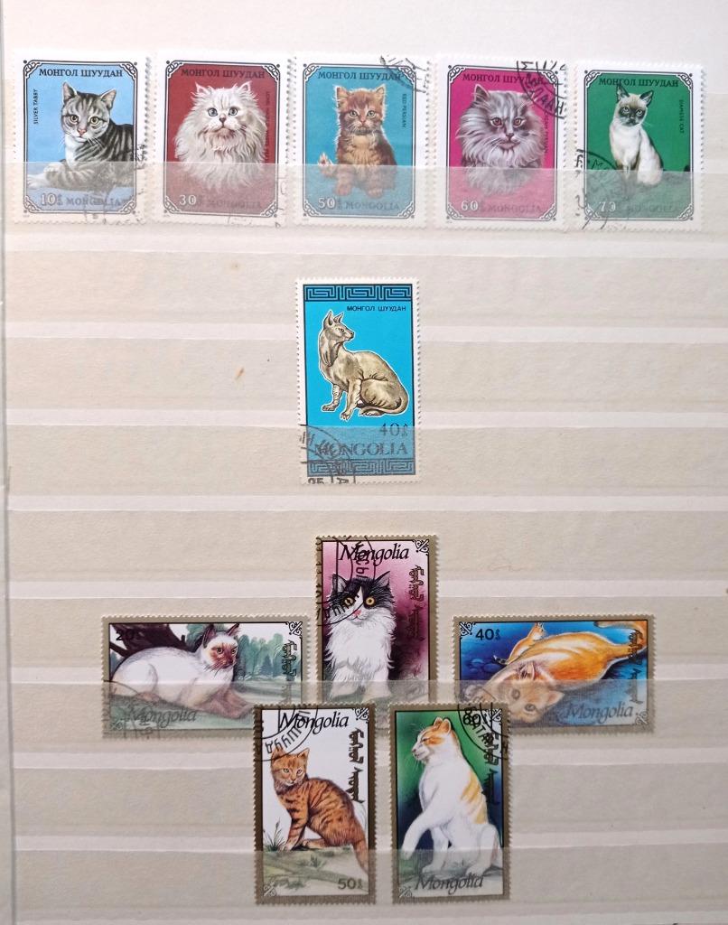 Mongolie — chats — 11 timbres oblitérés, Envoi, Affranchi, Animal et Nature