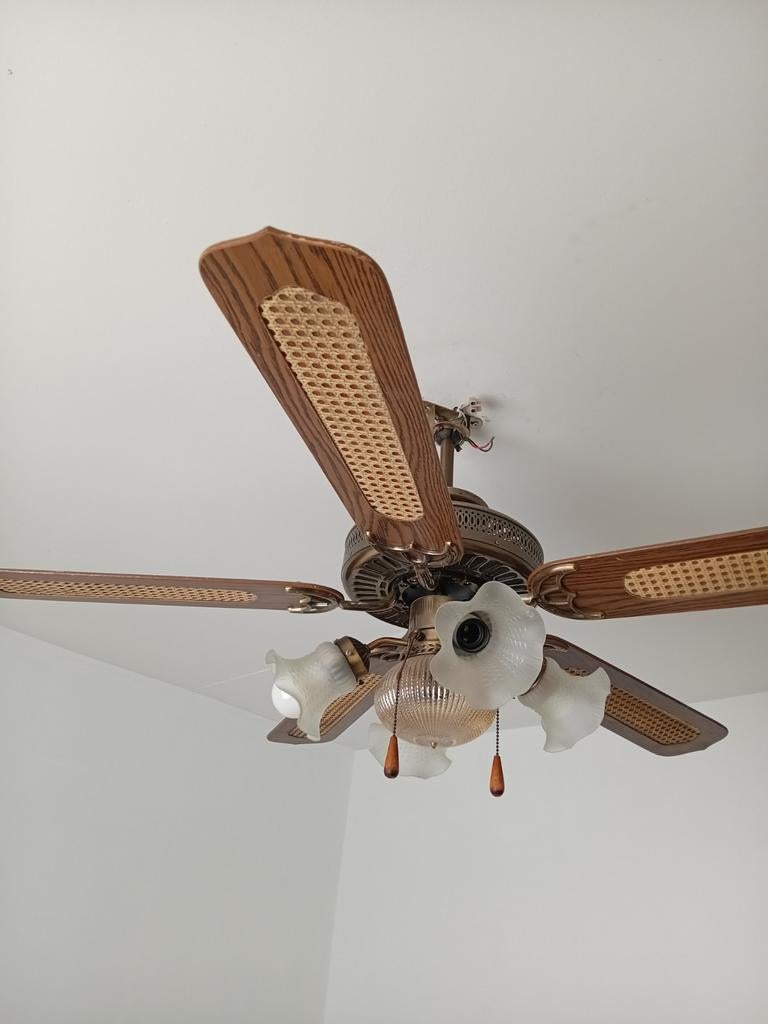 Ventilateur plafond, Enlèvement, Utilisé, Ventilateur de plafond