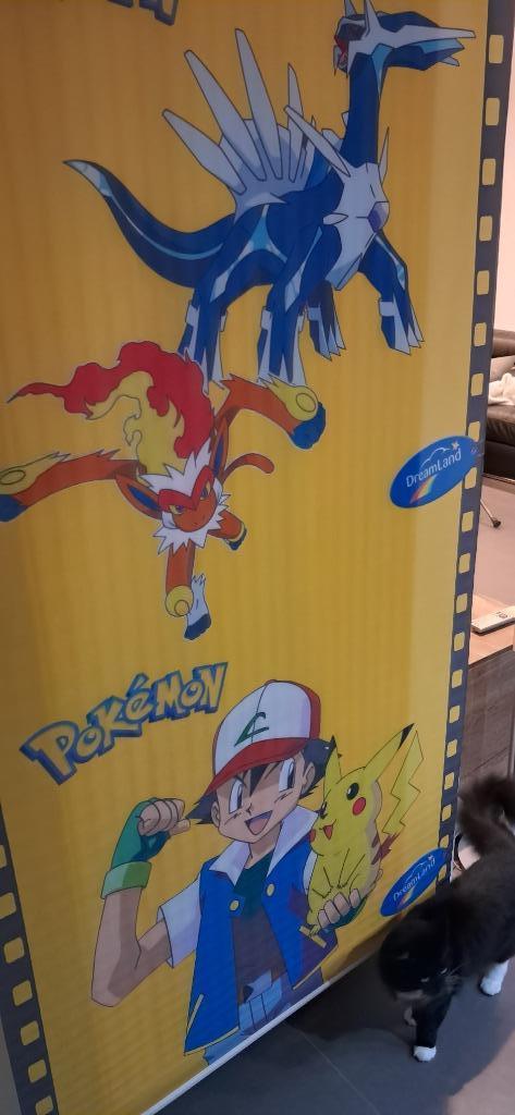Bannière Pokémon, publicité promotionnelle, Enlèvement ou Envoi, Comme neuf