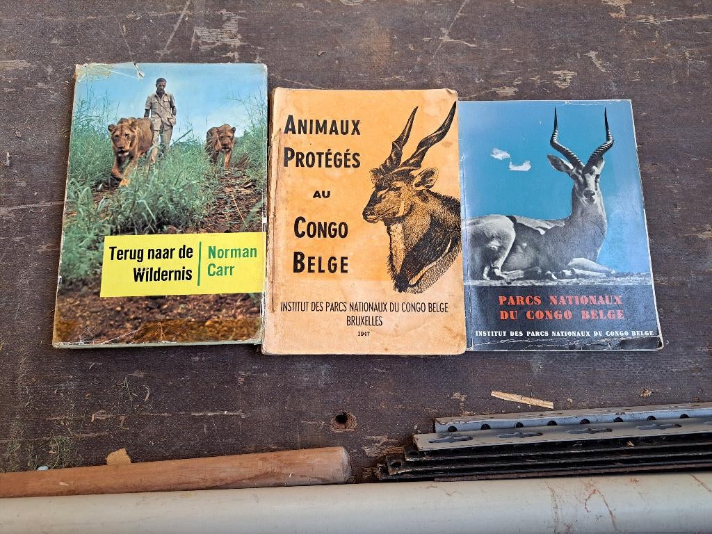 AFRIKAANSE KUNST EN BOEKEN, Antiek en Kunst, Kunst | Niet-Westerse kunst, Ophalen