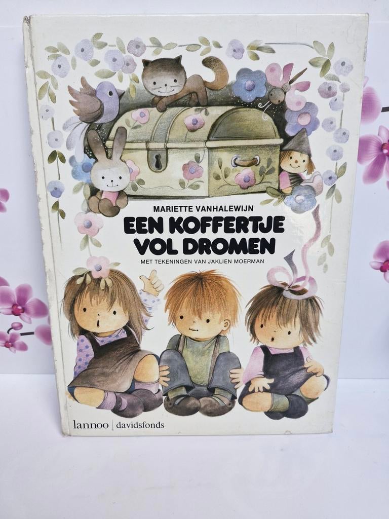 💜 Boek: Een Koffertje Vol Dromen, Boeken, Gelezen, Mariette Vanhalewijn, Jongen of Meisje, Ophalen of Verzenden