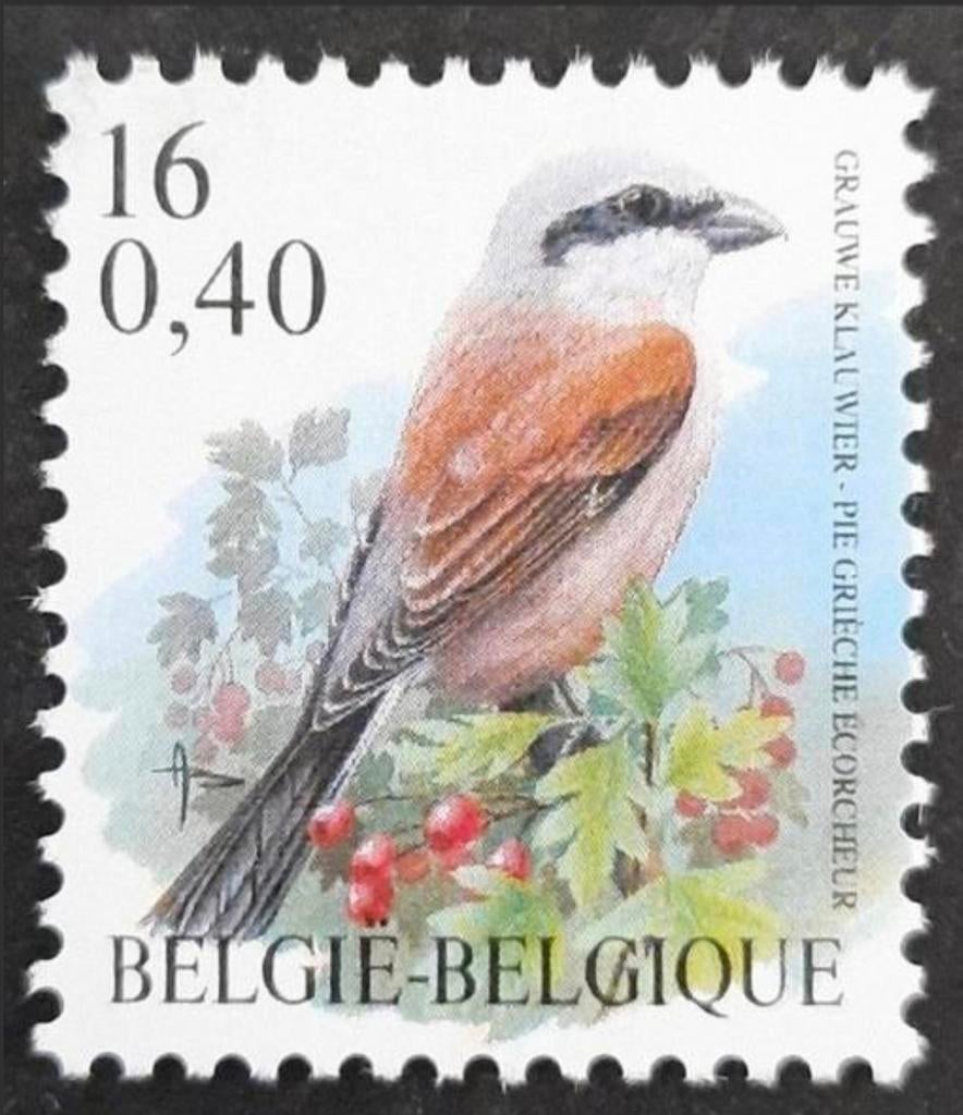 Belgique : OBP 2885 ** Oiseaux 2000., Timbres & Monnaies, Sans timbre, Neuf, Enlèvement ou Envoi, Non oblitéré
