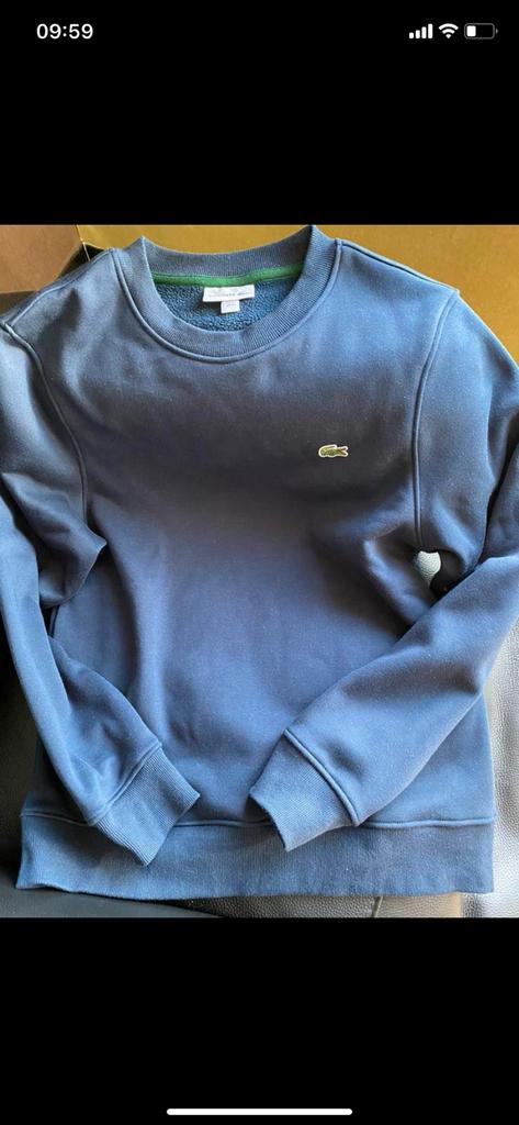 Lacoste sweater trui heren, Kleding | Heren, Verzenden, Zo goed als nieuw, Blauw
