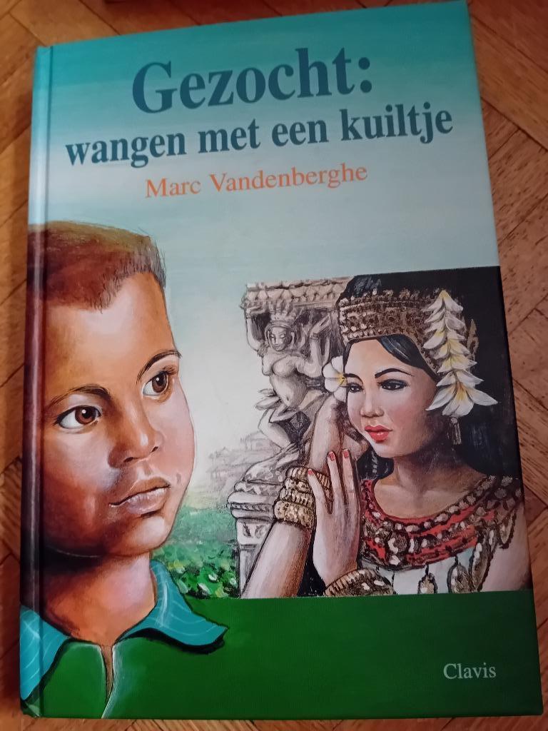 Boek gezocht wangen met een kuiltje marc vandenberghe, Boeken, Ophalen of Verzenden