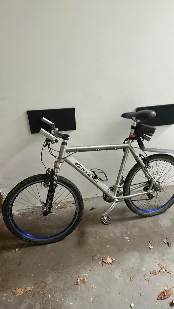 Gazelle Mountain bike, Vélos & Vélomoteurs, Vélos | Hommes | Vélos de sport & Vélo de randonnée, Enlèvement, Utilisé, Gazelle