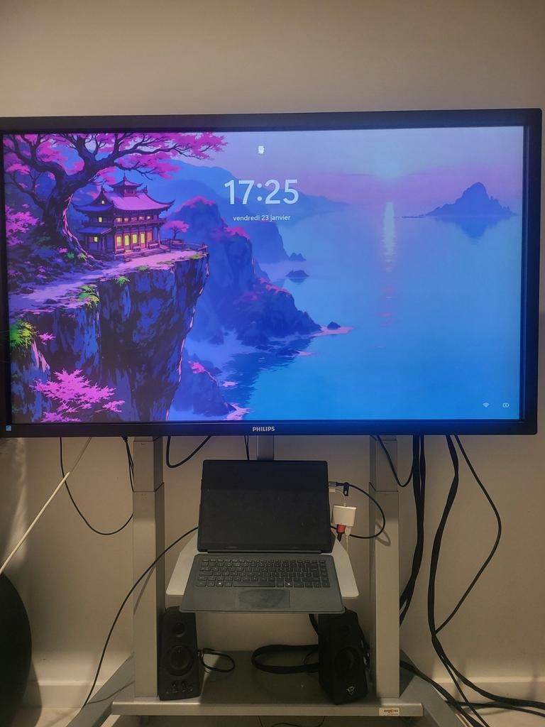 Écran tactile FullHD Philips 55" + Support électrique ErgoXS, Informatique & Logiciels, Moniteurs, Comme neuf, DisplayPort, DVI