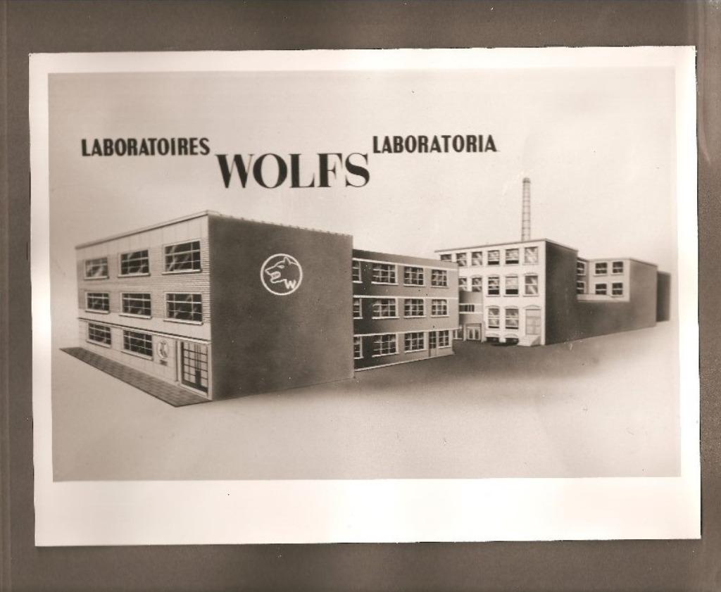 Fotoalbum Laboratoires Wolfs Antwerpen Zwijndrecht 58 foto's, Boeken, Ophalen of Verzenden, 20e eeuw of later, Zo goed als nieuw