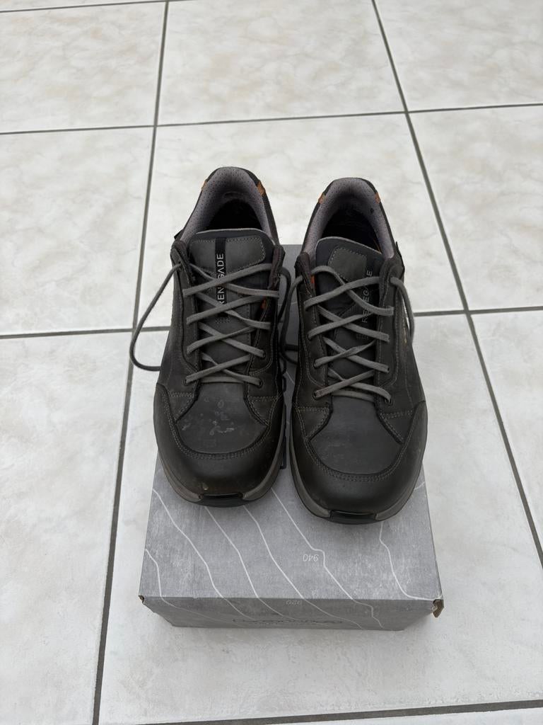 Wandelschoenen Dames Lowa Renegade Evo gtx lo ws, Sport en Fitness, Ophalen of Verzenden, Zo goed als nieuw