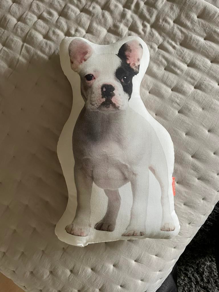Coussin bouledogue français, Enlèvement, Comme neuf