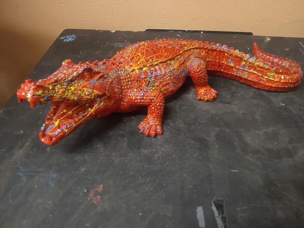 Crocodile, Enlèvement