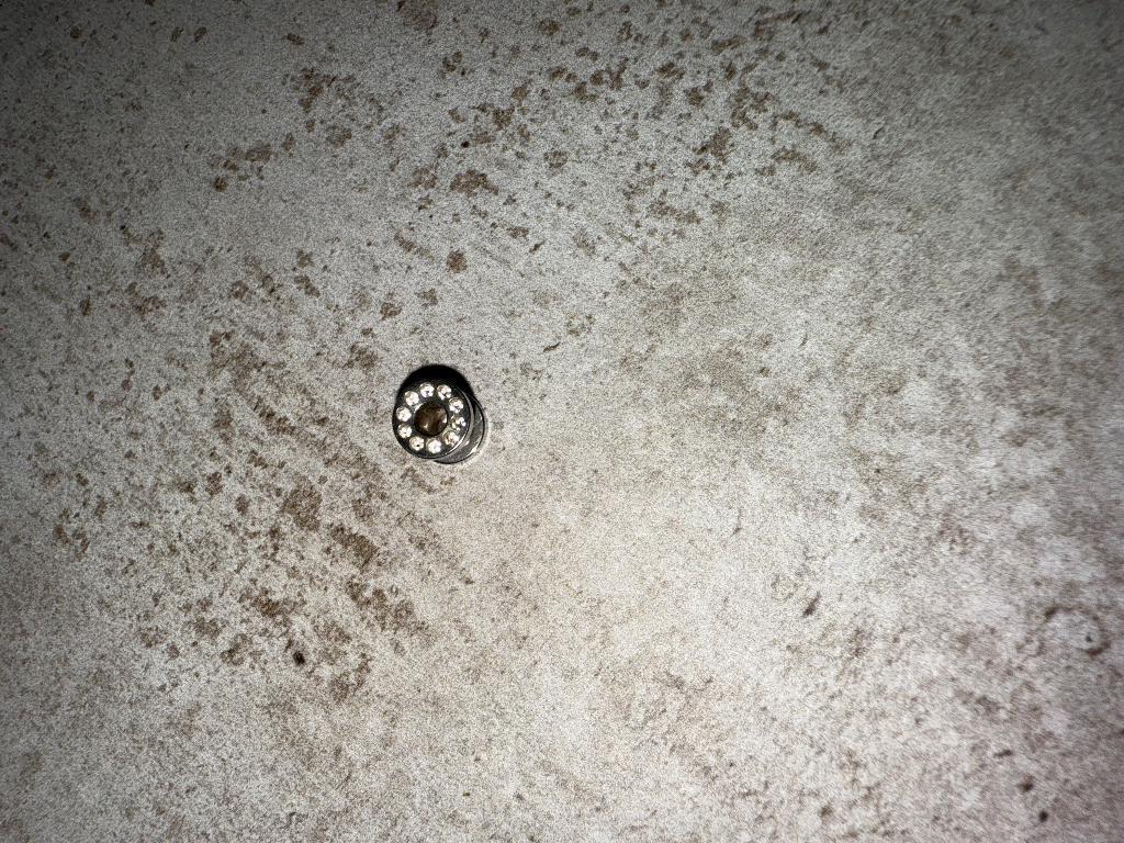 Écarteur d’oreille avec strass, Enlèvement ou Envoi, Neuf, Avec strass