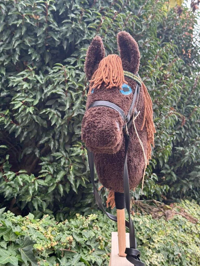 Hobby Horse Max, Hobby en Vrije tijd, Ophalen
