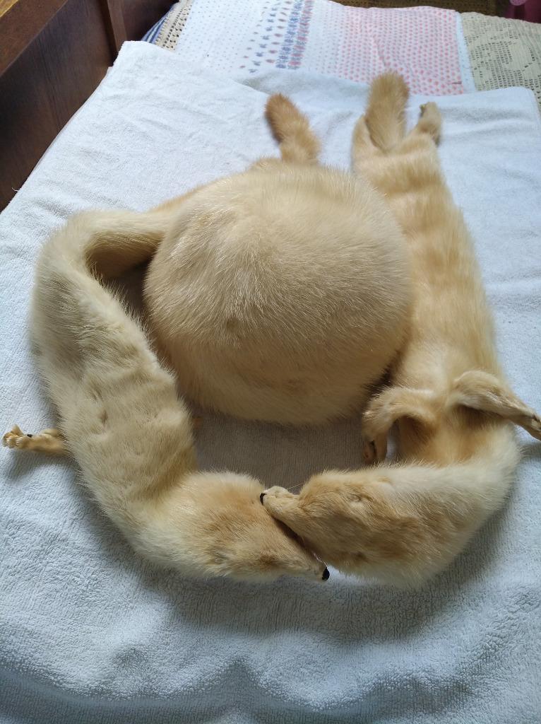Echarpe avec toque en véritable vison, Enlèvement