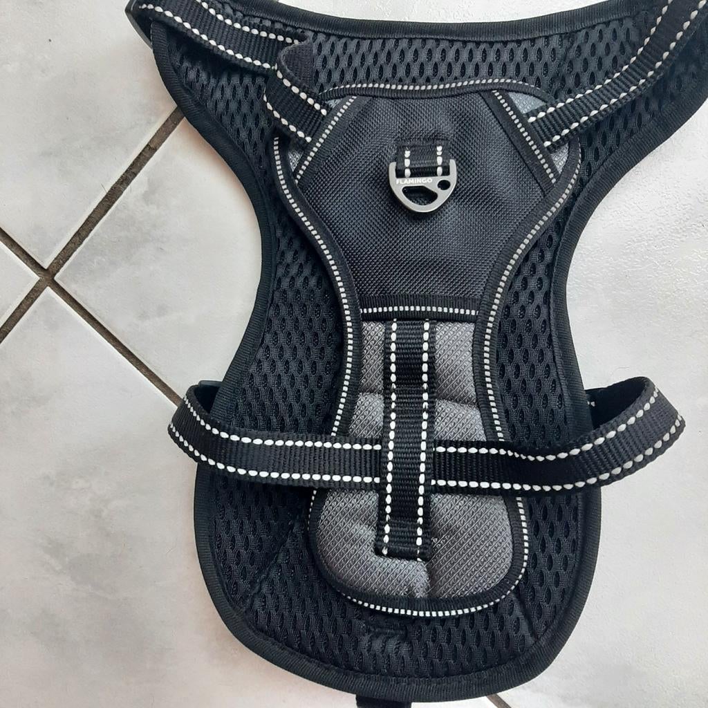Harnas hond, Dieren en Toebehoren, Honden-accessoires, Ophalen of Verzenden