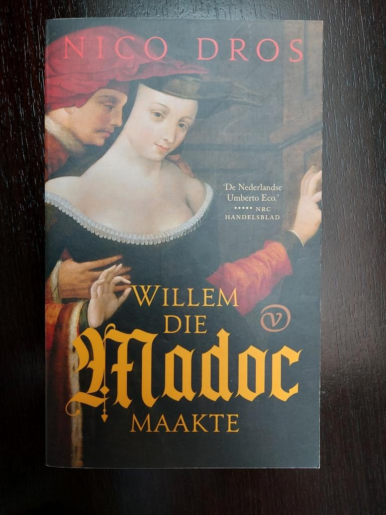 Willem die Madoc maakte - Nico Dros, Boeken, Ophalen of Verzenden, Zo goed als nieuw