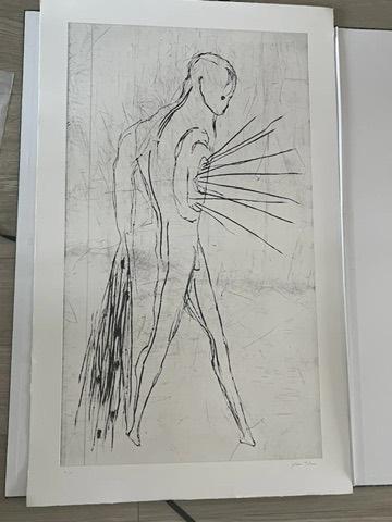 Johan Tahon - Mohawk - Ets, Antiek en Kunst, Kunst | Etsen en Gravures, Ophalen