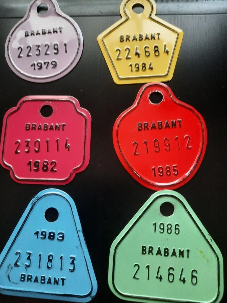 6 fietsplaten, Verzamelen, Retro, Ophalen
