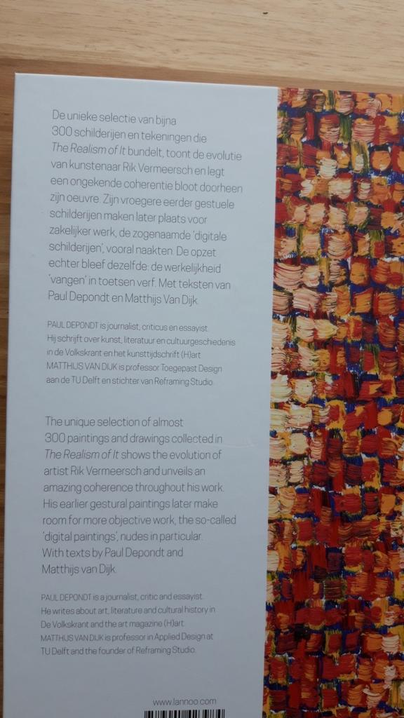 Rik Vermeersch, monografie - The Realism of It, Matthijs Van Dijk; Paul Depondt, Ophalen of Verzenden, Zo goed als nieuw