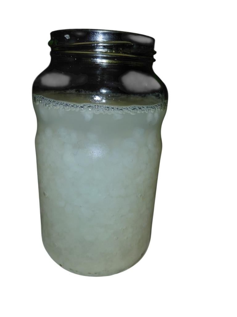 Kefir de fruit a vendre, Enlèvement ou Envoi
