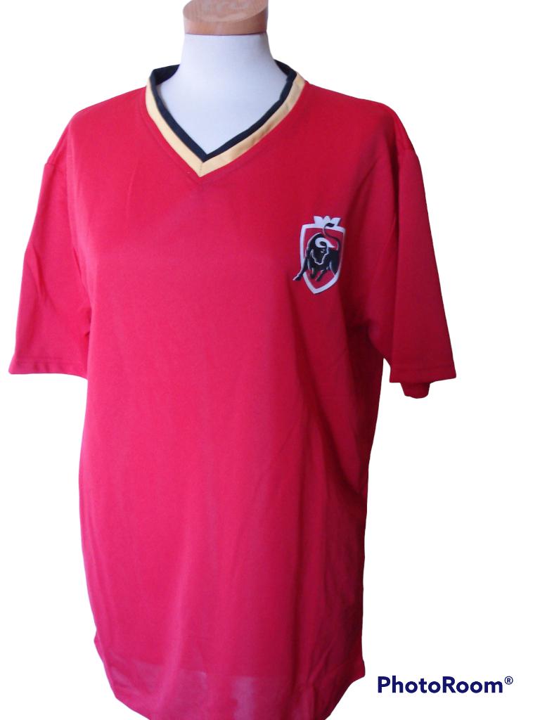 NIEUW voetbaltruitje XL, Sport en Fitness, Maat XL, Ophalen of Verzenden, Nieuw, Shirt