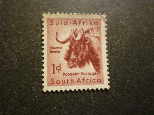Zuid-Afrika/Afrique du Sud 1954 Mi 240(o), Enlèvement ou Envoi, Afrique du Sud, Affranchi