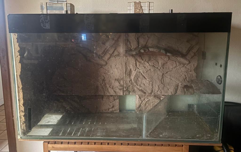 Terrarium, Enlèvement, Utilisé, Terrarium ou Paludarium