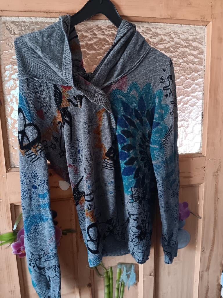 Pull multicolore Desigual, Vêtements | Femmes, Enlèvement ou Envoi, Autres couleurs, Taille 36 (S), Comme neuf