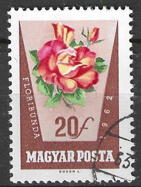 Hongarije 1962 - Yvert 1516 - Rozen - 20 fi. (ST), Verzenden, Gestempeld