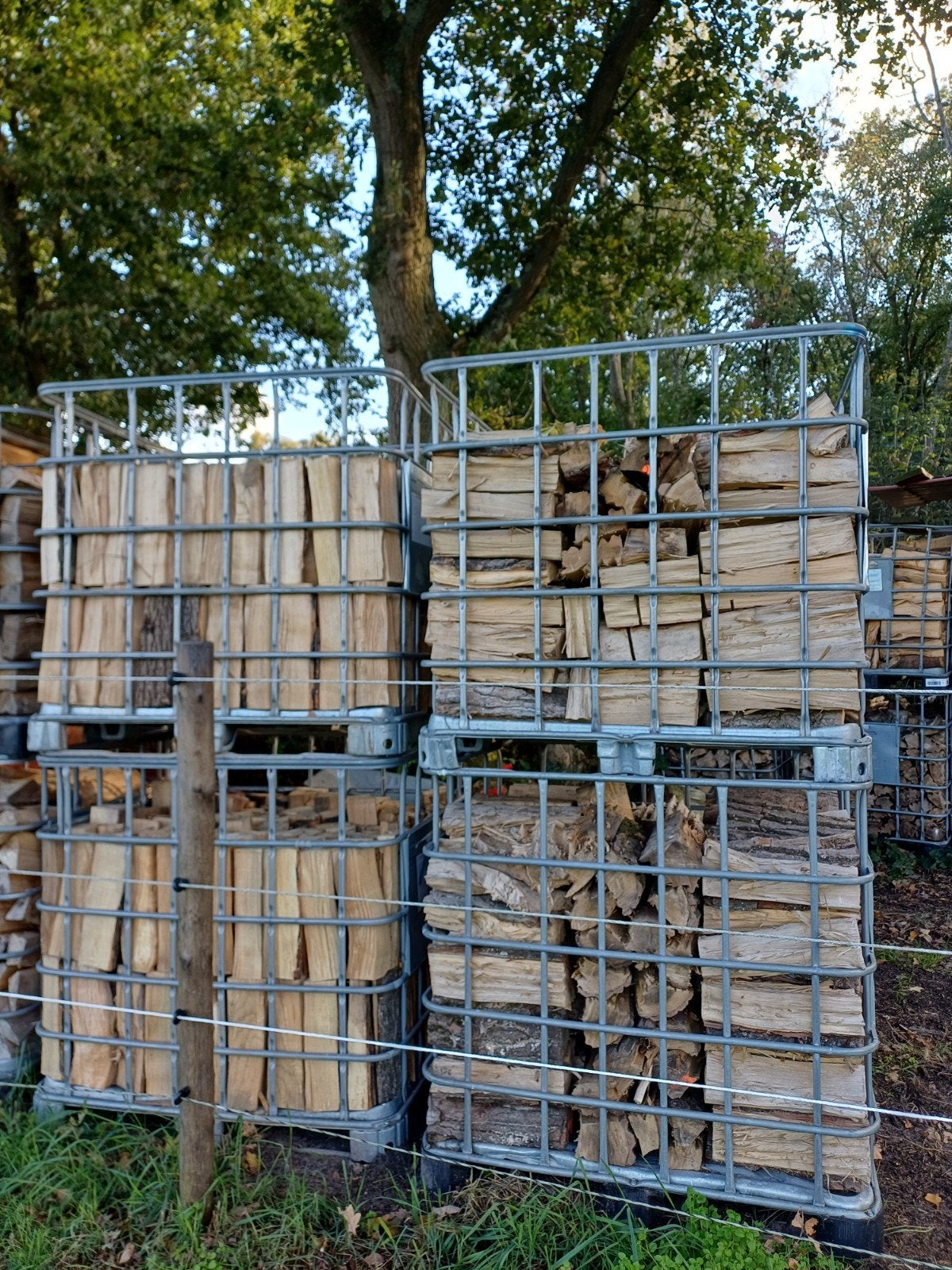 4m³ brandhout es en populier halfdroog, 3 tot 6 m³, Ophalen, Essenhout