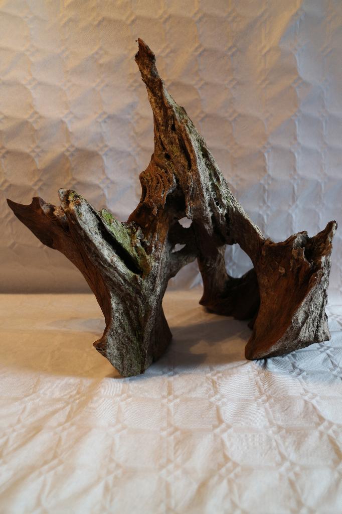 Mooi stuk Drift wood, Dieren en Toebehoren, Vissen | Aquaria en Toebehoren, Ophalen of Verzenden, Zo goed als nieuw, Plant(en), Steen of Hout