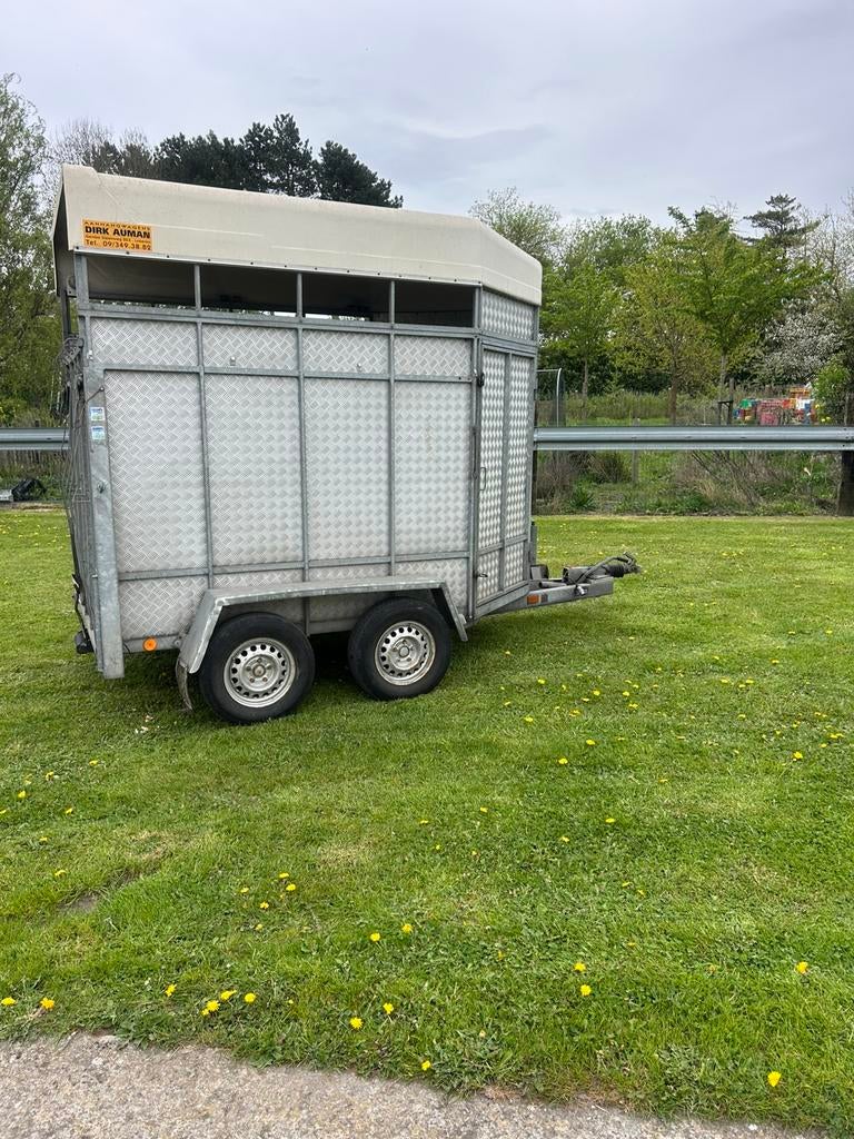 Vee- paarden remorque, Ophalen, Gebruikt, Aluminium, 2-paards trailer