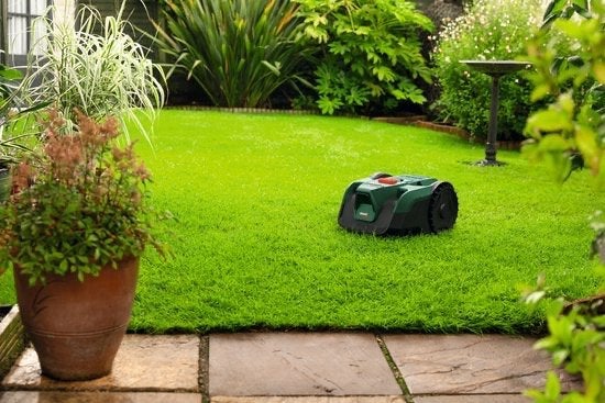 Nieuwe Gras ROBOTMAAIER - Bosch - Draadloos, Enlèvement, Neuf, Bosch, Fonction de mulching