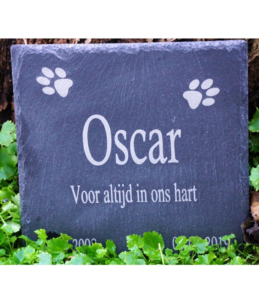 Leistenen Gedenksteen met Pootjes – Voor Hond of Kat, Dieren en Toebehoren, Ophalen of Verzenden, Nieuw, Overige typen