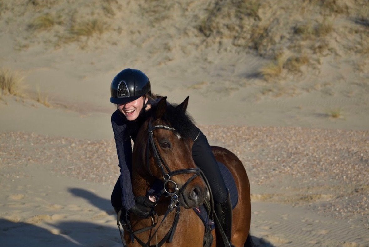 Te koop: ervaren New Forest sport pony, Springpaard, Minder dan 160 cm, Met stamboom, Ruin