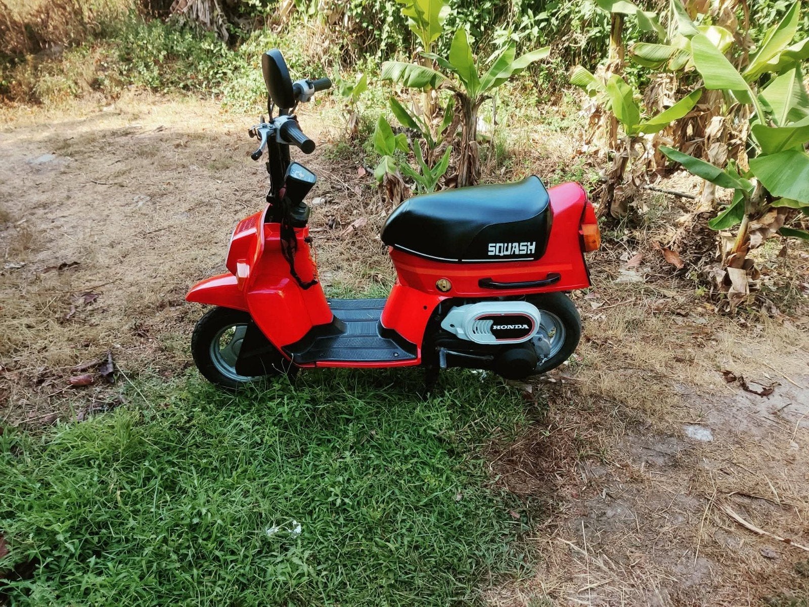 honda squash type 2 50cc, Fietsen en Brommers, Ophalen