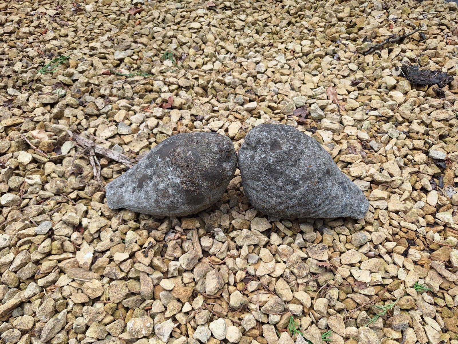gratis af te halen te Kapellen,koppeltje beton duiven, Tuin en Terras, Ophalen, Beton