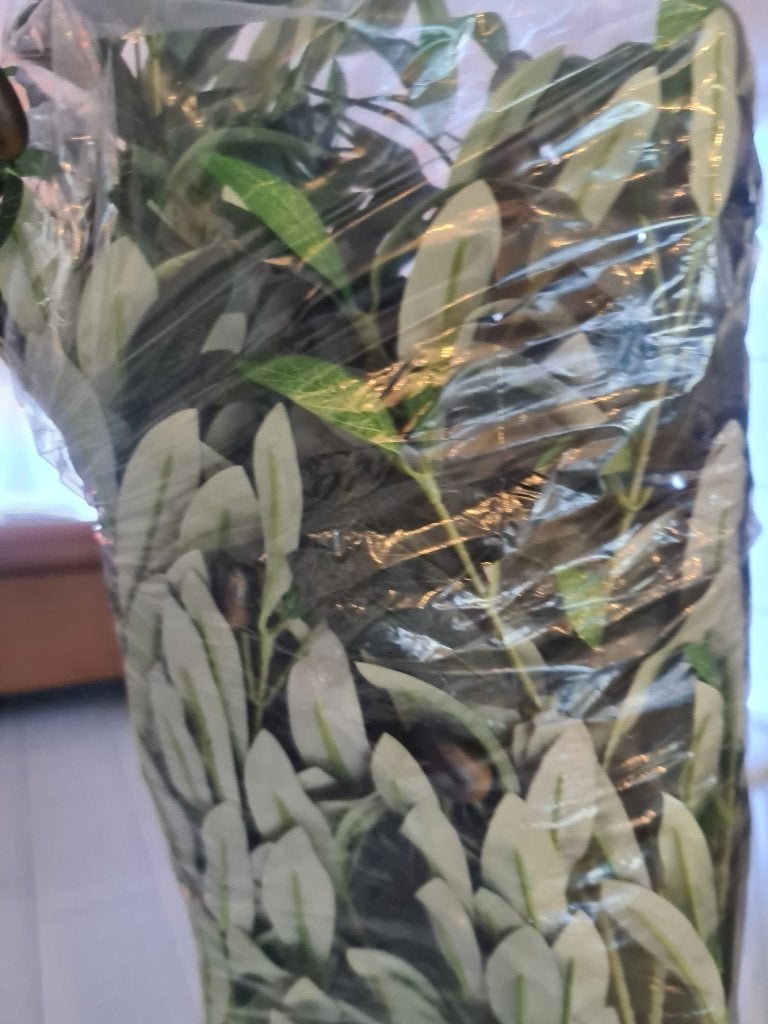 Kunstplant olijfboom, Neuf, Vert, Plante artificielle, Autres marques